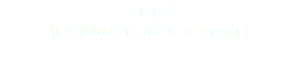 CCTV (Circuito Cerrado de Televisión)